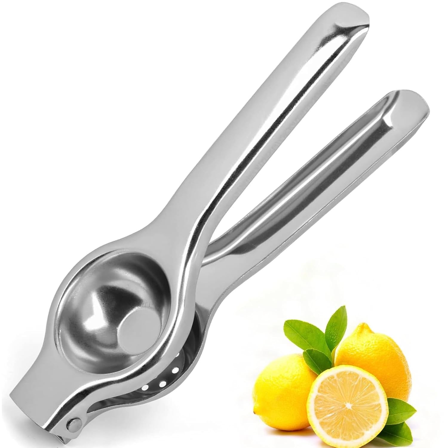 Stainless Steel Citrus Juicer